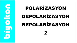 11 Sınıf  ayt  Polarizasyon  Depolarizasyon  Repolarizasyon  2 [upl. by Lundquist]