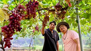 Dating Grab Driver Kitangkita ang Asenso sa Grapes Vineyard at Calamansi Farming [upl. by Gennie373]