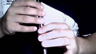 The Rights of Man  tin whistle tutorial [upl. by Knarf]