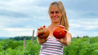 Meet the Master Organic Veggie Farmer  Good Work [upl. by Atnahsa51]