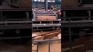 Dewatering Screen Fine Sand Recovery Machinesandmaker sandproductionline gravel sandandstone [upl. by Nevetse]