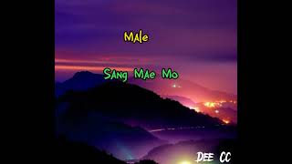 Sekha Sokha •lyrics •with vocal 🔇🔇 OFF [upl. by Consalve]