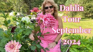 Dahlia Tour September 2024  Ultimate Flower Paradise [upl. by Nrublim]