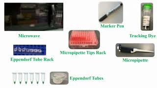 Tools Use for Gel Electrophoresis [upl. by Perrin]