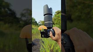 Dslr camera flash diffuser shorts [upl. by Meit]