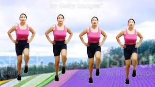 exercise dance workout weight loss reduce belly fat fat burninglovely mix vlog [upl. by Eadahc261]