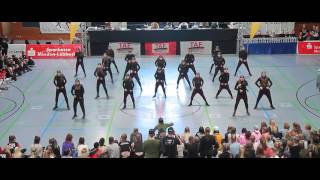 FREAKNSUNBEAMS  Formations Juniors  TAF Deutsche Hip Hop Meisterschaft 2016 [upl. by Hamachi]