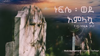 Nefse Wede Amlakua ነፍሴ ወደ አምላኳ instrumental original melody by Pastor Tesfaye Gabbsio [upl. by Nednal506]