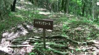 山中湖パノラマ台から3山登山３切通峠に＠山梨県山中湖村 [upl. by Averyl]