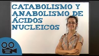 Catabolismo y anabolismo de ácidos nucleicos [upl. by Essilrahc982]