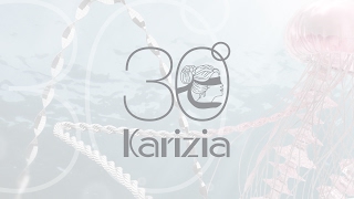 30° anniversario di KARIZIA SPA [upl. by Charmine]