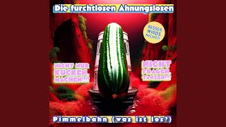 Pimmelbahn Super dance experience Disco Version [upl. by Asilaj]