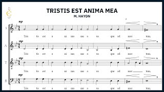 Choeur Ephata  Tristis est anima mea  JM Haydn [upl. by Khai]