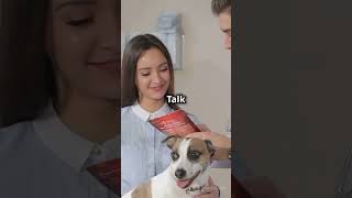 How to get rid of fleas Home remedies fleas fleassolution shorts homeworklance fyp foryou [upl. by Pooh]