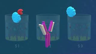 Competitive ELISA Test  Animated Video [upl. by Anialram]