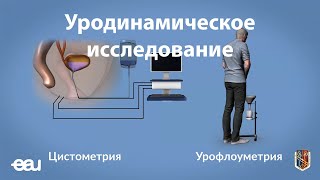 Уродинамическое исследование EAU  URDY RU [upl. by Trish261]