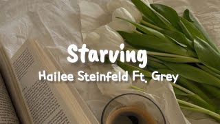 Hailee Steinfeld Ft Grey  Starving Lyrics [upl. by Calondra]