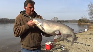 Basic Guide To Catching Big Catfish [upl. by Iah254]