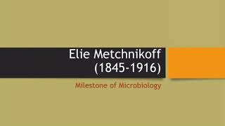 Contribution of Elie Metchnikoff in Microbiology  Milestone of Microbiology [upl. by Moffit]