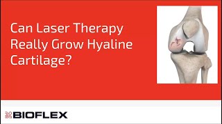 Can Laser Therapy Grow Hyaline Cartilage [upl. by Erwin]