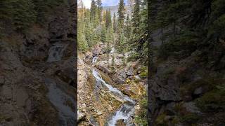 Waterfalls and some larch remnants waterfall hiking kananaskis [upl. by Auburta]