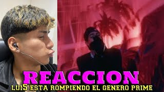 REACCION   Lui5  FELINA Official Video [upl. by Eneleuqcaj]