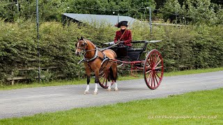 Attelage Horse Weekend 2024 Beamish Museum Part 4 beamish horse horsemanship horseshow [upl. by Arihk]