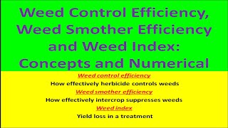 Weed Control Efficiency Weed Smother Efficiency and Weed Index Concept and Numerical [upl. by Alleuqram]