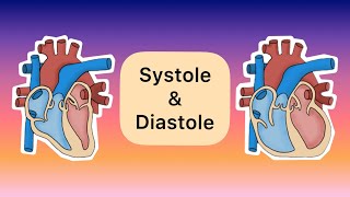 Systole und Diastole [upl. by Moclam]