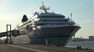 4K MS Amadea wunderschönes Anlegemanöver am frühen morgen in Hamburg 02052024 [upl. by Millie412]