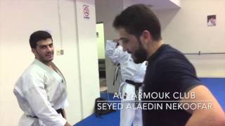 Seyed Alaedin Nekoofar  Karate UNSU training [upl. by Yecniuq]