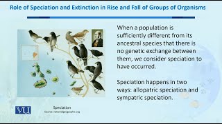 Extinction in Rise amp fall of Groups of Organisms  Biodiversity amp EvolutionII  BT201Topic185 [upl. by Xino171]