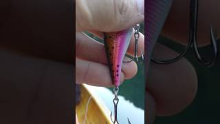 How to make a hook barbless [upl. by Dlorag]