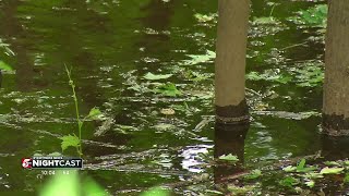 Rainy May brings surge of mosquitoes in several areas across Minnesota [upl. by Maker]