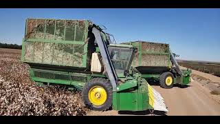 John Deere 9965 cotton picker Pima Deltapine 359 [upl. by Lacee974]