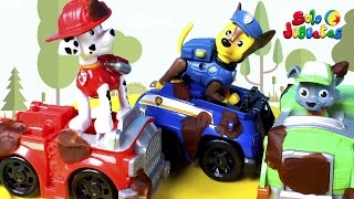 🐾 LA PATRULLA CANINA 🐾 Al rescate de un pájaro  Vídeos de Paw Patrol en Español [upl. by Ahsiakal]