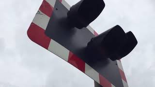 Intro to Graveney AHB Level Crossing Kent Saturday 07102017 [upl. by Nnylyma103]