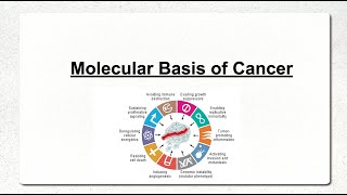 Molecular Basis of Cancer Part 1 Oncogenes [upl. by Syman648]