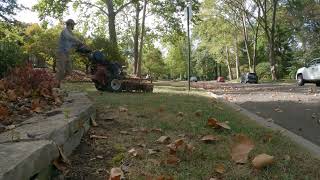 Pulverizing Leaves With My Mower A Quick Inside To Out Cut lawncare landscaping cuttinggrass [upl. by Ahras]