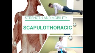 Scapulothoracic strength and mobility [upl. by Rinna]