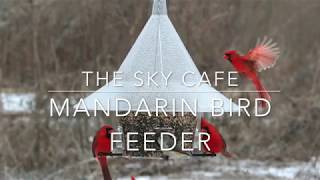 How to Assemble the Mandarin Bird Feed Instructions [upl. by Veronica]