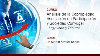 Análisis de la Copropiedad Asociación en Participación y Sociedad Conyugal Legalidad y Tributos [upl. by Ecnarwal]