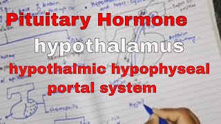 Pituitary hormone and their control by hypothalamus part 2 hypothalmic hypophyseal portal system [upl. by Asin]