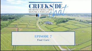 CREEKSIDE CHAT  EPISODE 7  FOAL CARE [upl. by Zabrine]