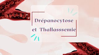 Parlons de la thallassemie [upl. by Jeth]