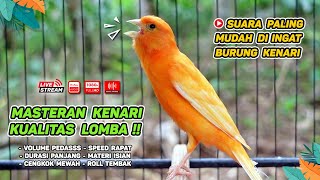 Kenari GACOR‼️ Masteran Burung Kenari PAUD dan Pancingan Kenari MACET BUNYI  EPISODE 1251 [upl. by Wanfried800]