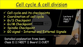 Cell Cycle amp Cell Division ✅ Cell cycle and its checkpoints from basic class11biology neet A005 [upl. by Teplitz]