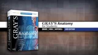 Grays Anatomy for Students 2nd Edition [upl. by Philcox]