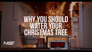 Christmas Tree Fire Watered Tree vs Dry Tree [upl. by Donoho]