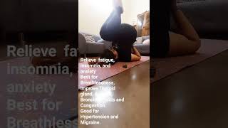 HalasanaBenefits Daily Yoga Routine Workout Fitness [upl. by Malcah]